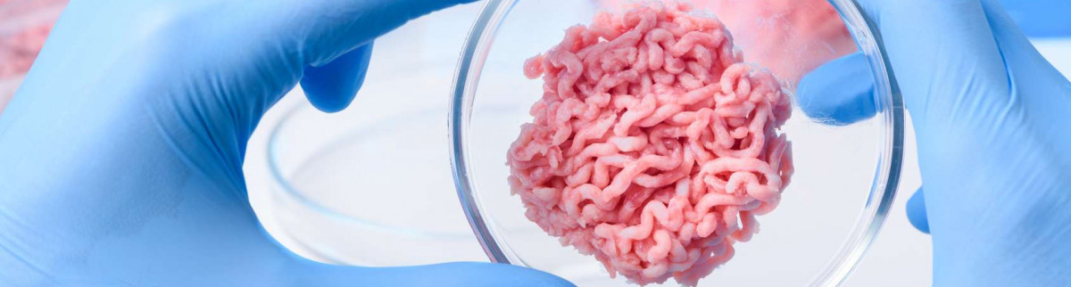 À quand la viande élevée en laboratoire?