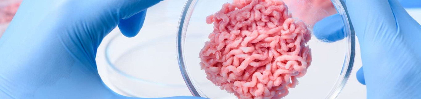 À quand la viande élevée en laboratoire?