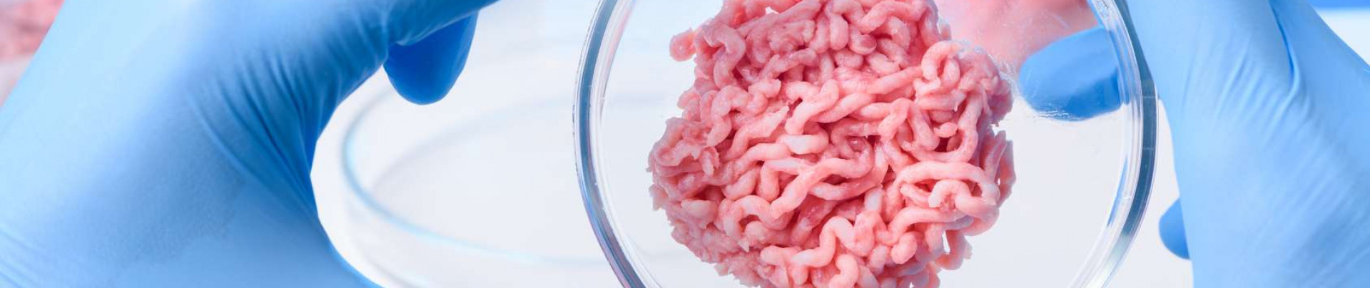 À quand la viande élevée en laboratoire?