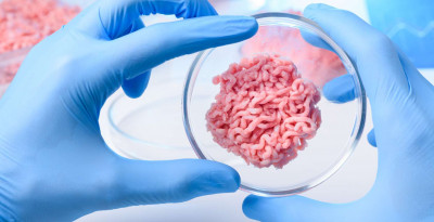 À quand la viande élevée en laboratoire?