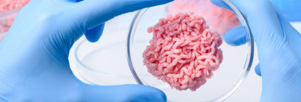 À quand la viande élevée en laboratoire?