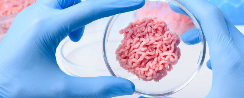 À quand la viande élevée en laboratoire?