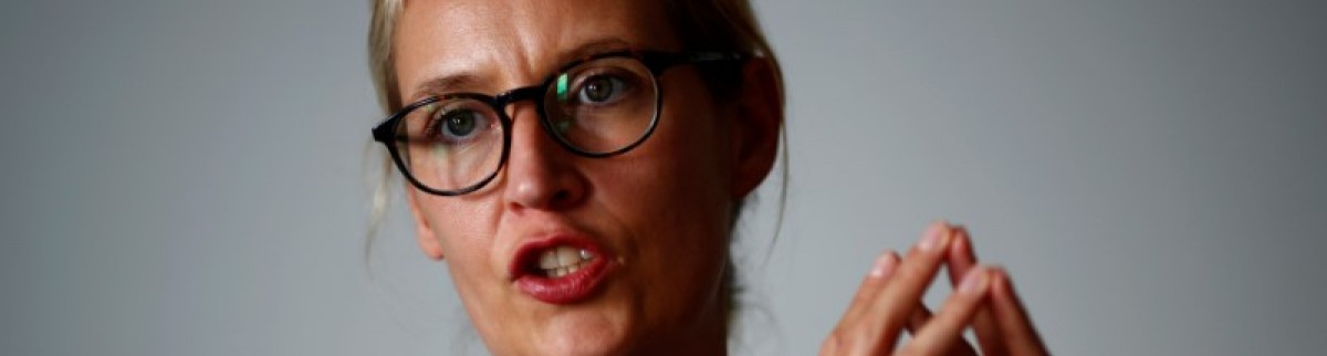 Un parti allemand conseille à Trump de twitter moins et gouverner plus