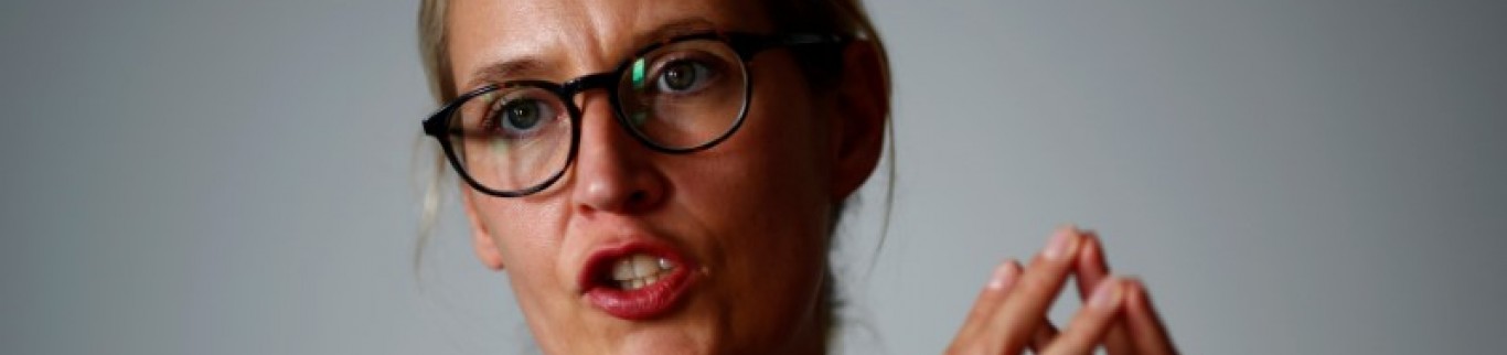 Un parti allemand conseille à Trump de twitter moins et gouverner plus