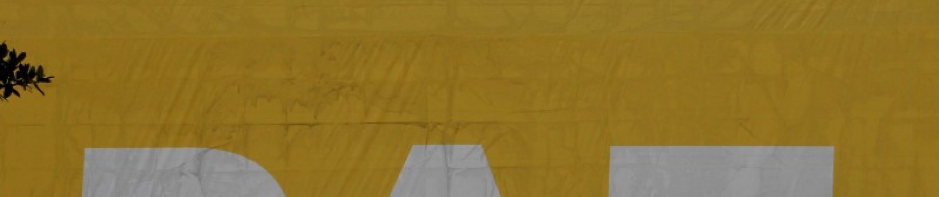 Le Congrès colombien vote une loi d'amnistie des Farc