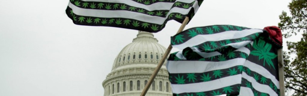 L'Etat de Washington autorise la marijuana bio
