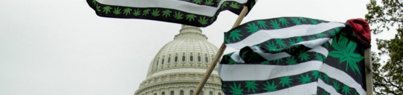 L'Etat de Washington autorise la marijuana bio