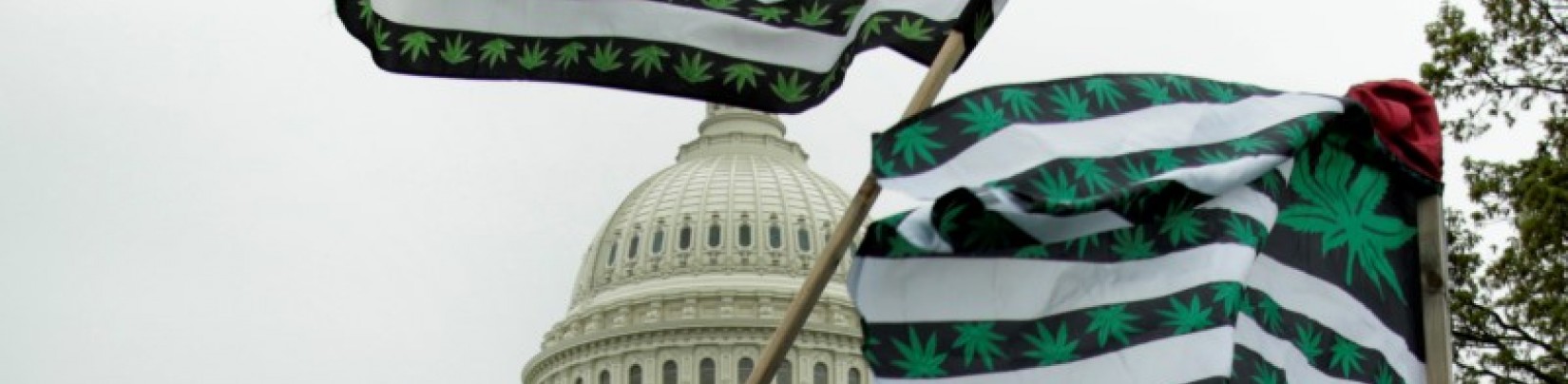 L'Etat de Washington autorise la marijuana bio