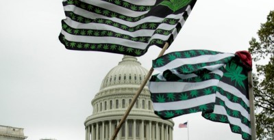 L'Etat de Washington autorise la marijuana bio