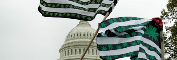 L'Etat de Washington autorise la marijuana bio