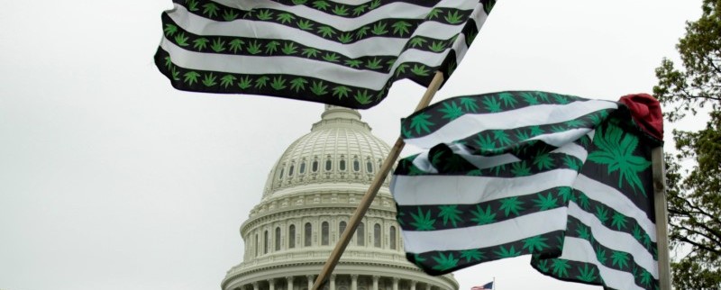 L'Etat de Washington autorise la marijuana bio