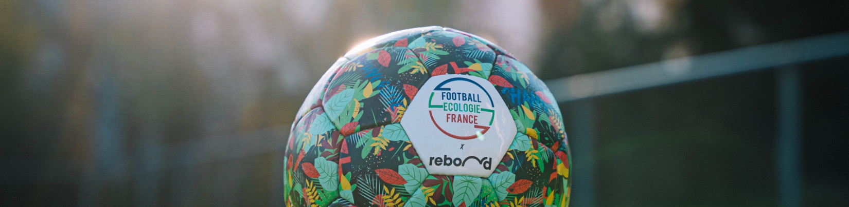 Football Ecologie France : vers une transition écologique