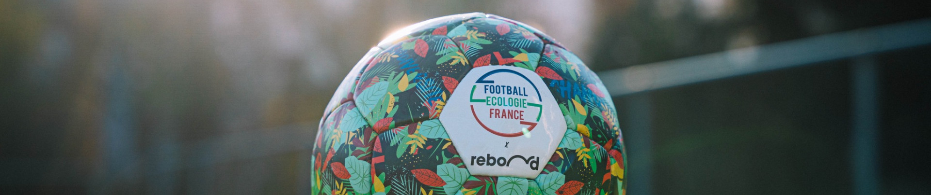 Football Ecologie France : vers une transition écologique