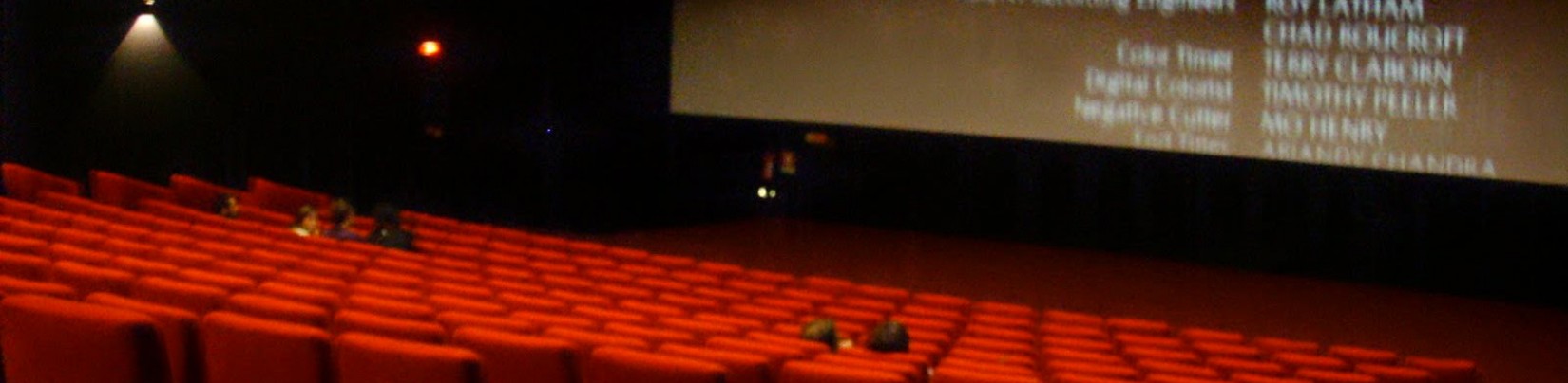 Le cinéma français doit renouveler son modèle de financement