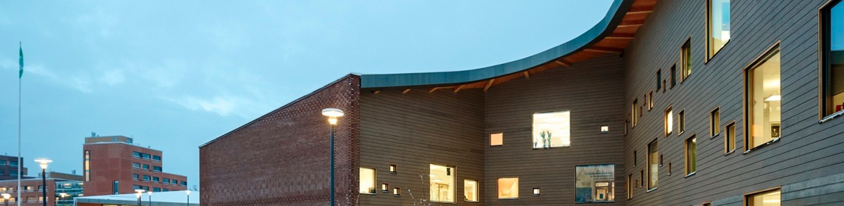 L’école Saunalahti : un lieu d’apprentissage qui rend heureux