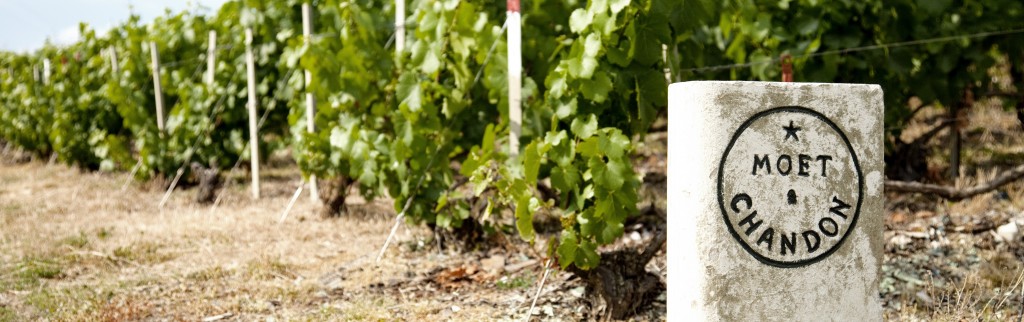 Moët & Chandon, l’histoire d’un succès à l’international