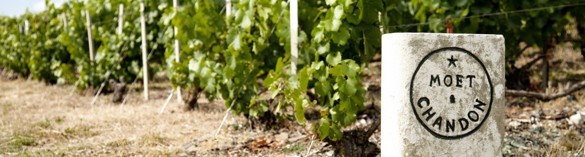 Moët & Chandon, l’histoire d’un succès à l’international