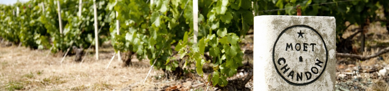 Moët & Chandon, l’histoire d’un succès à l’international