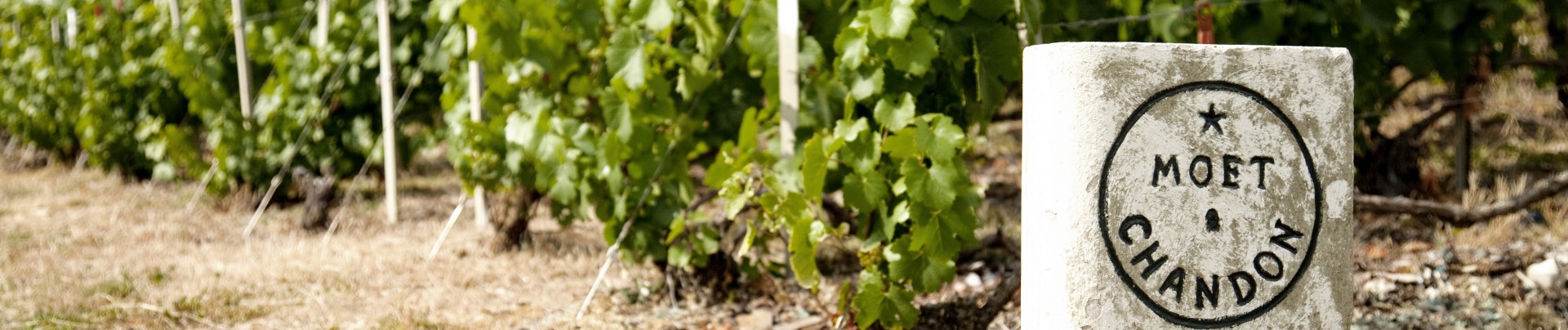 Moët & Chandon, l’histoire d’un succès à l’international