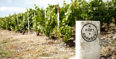 Moët & Chandon, l’histoire d’un succès à l’international