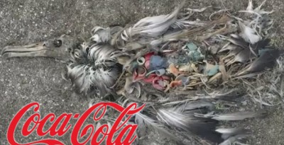 Pub choc de Greenpeace, Coca réagit, le Web aussi