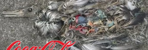 Pub choc de Greenpeace, Coca réagit, le Web aussi