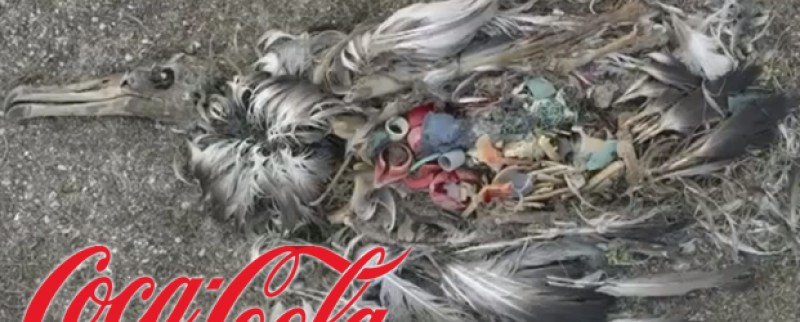 Pub choc de Greenpeace, Coca réagit, le Web aussi