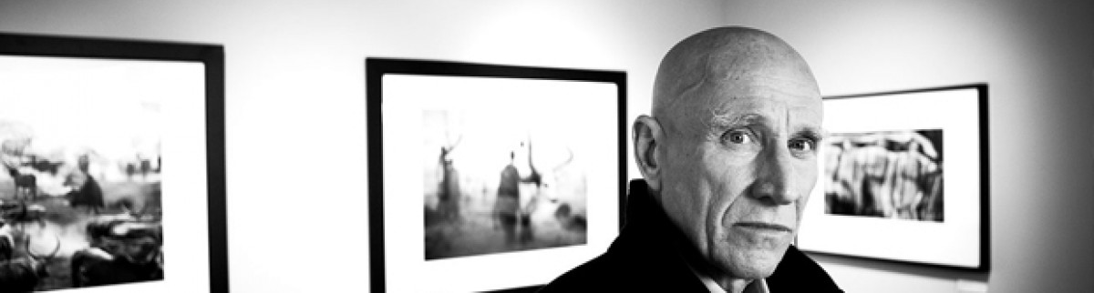 Salgado : la beauté silencieuse du monde