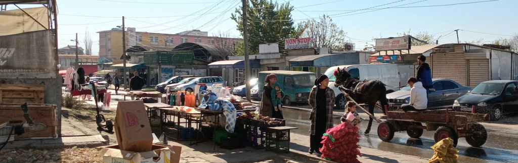 Stolipinovo : entre marginalisation et résilience au cœur de Plovdiv