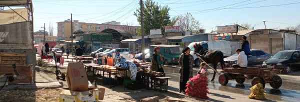 Stolipinovo : entre marginalisation et résilience au cœur de Plovdiv