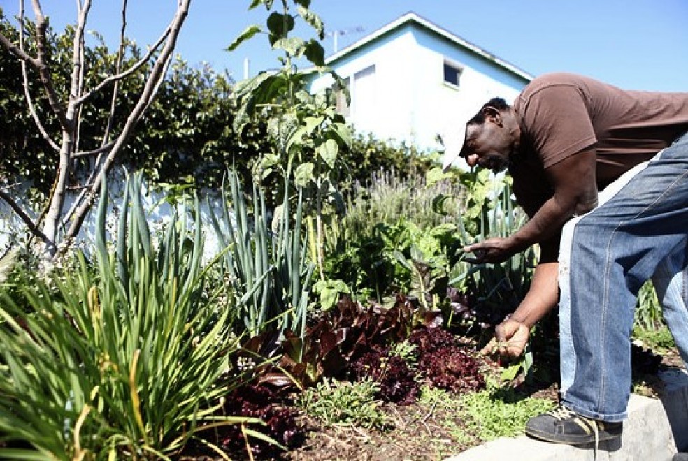 Ron Finley, un guérillero jardinier à South Central L.A.