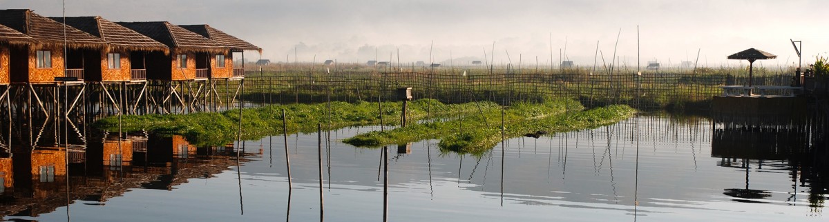 Triangle d’or et opium : les dessous d’un commerce juteux