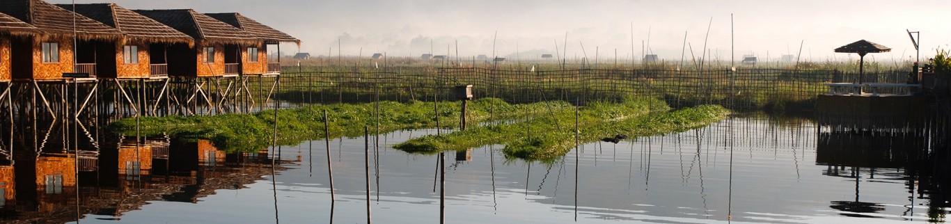 Triangle d’or et opium : les dessous d’un commerce juteux