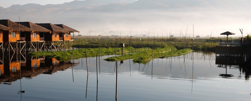 Triangle d’or et opium : les dessous d’un commerce juteux