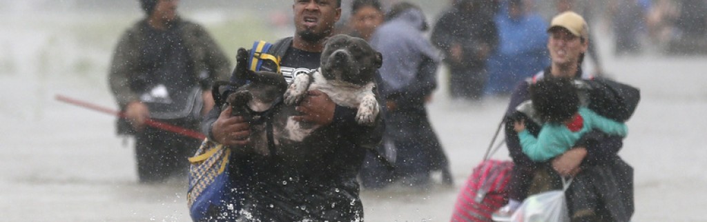 USA: Le coût d'Harvey estimé à 20 milliards de dollars pour les assureurs