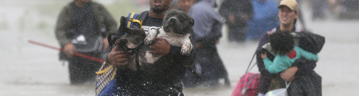 USA: Le coût d'Harvey estimé à 20 milliards de dollars pour les assureurs