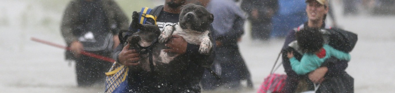 USA: Le coût d'Harvey estimé à 20 milliards de dollars pour les assureurs