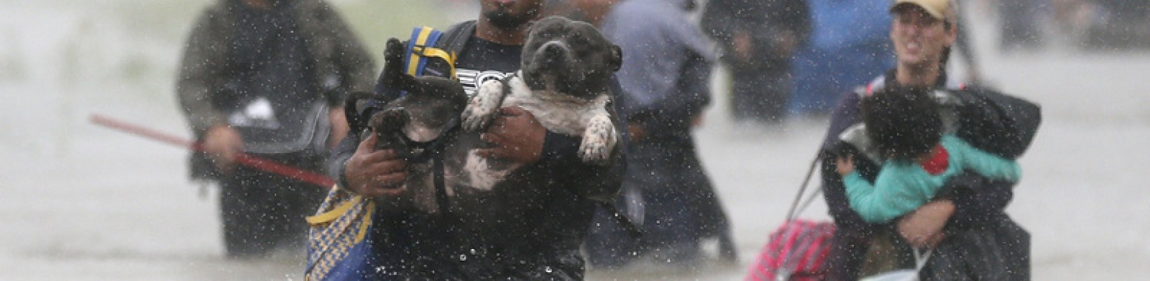 USA: Le coût d'Harvey estimé à 20 milliards de dollars pour les assureurs