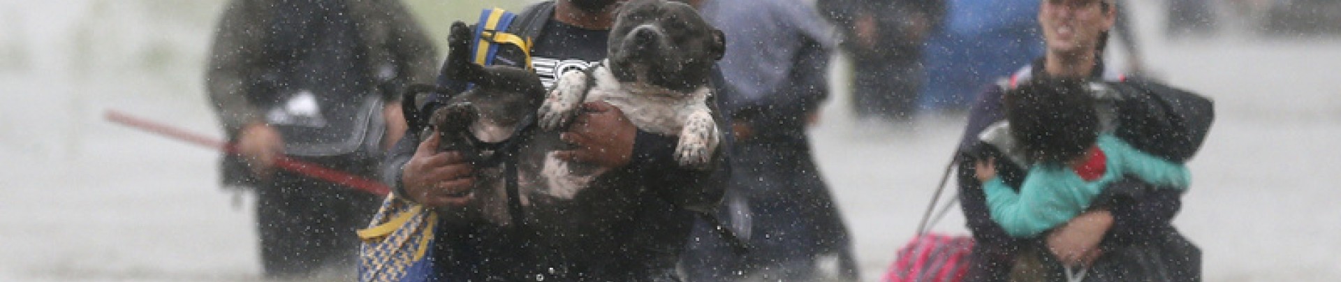 USA: Le coût d'Harvey estimé à 20 milliards de dollars pour les assureurs