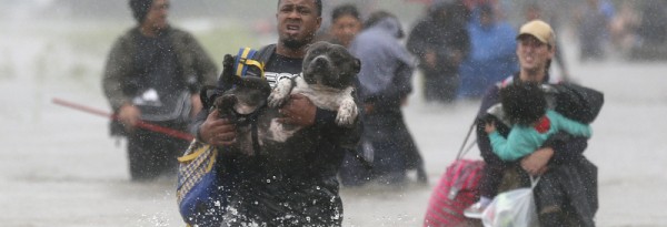 USA: Le coût d'Harvey estimé à 20 milliards de dollars pour les assureurs